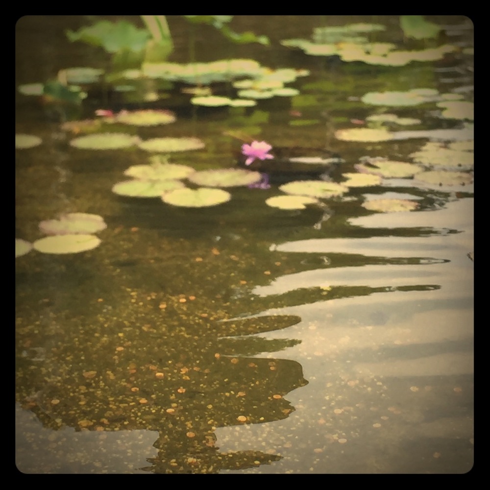 Meet your Posher, Jillian